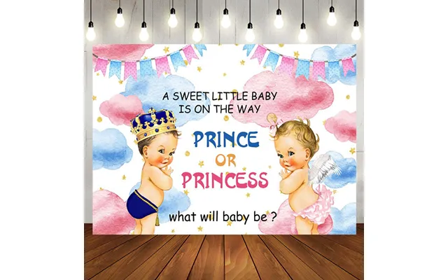 Aperturee Sweet Baby Pink Blue Cloud Gender Reveal Backdrop - Aperturee