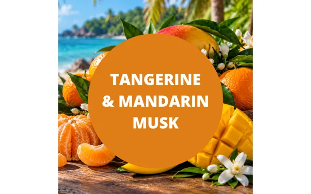 Tangerine & Mandarin Musk Scented Reed Diffuser Oil Refill - 4 Oz