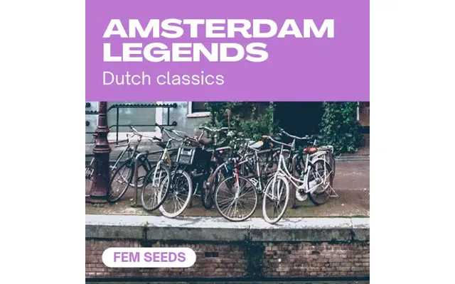 Amsterdam Legends