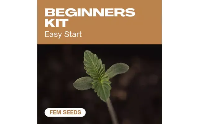 Beginners Pack