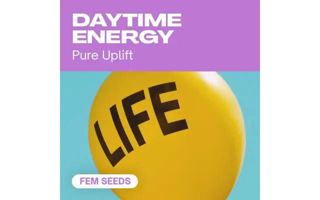 Daytime Energy