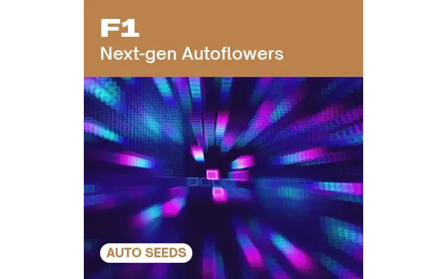 F1 Auto
