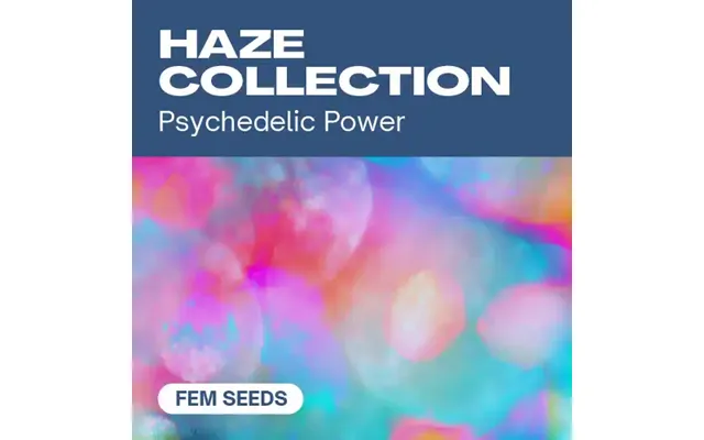 Haze Collection