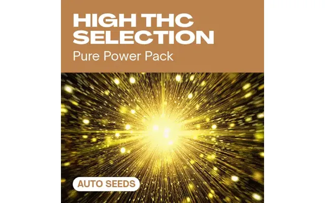 High Thc Selection Auto