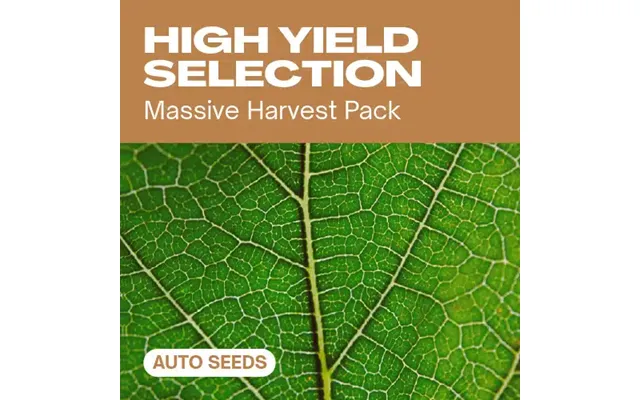 High Yield Selection Auto