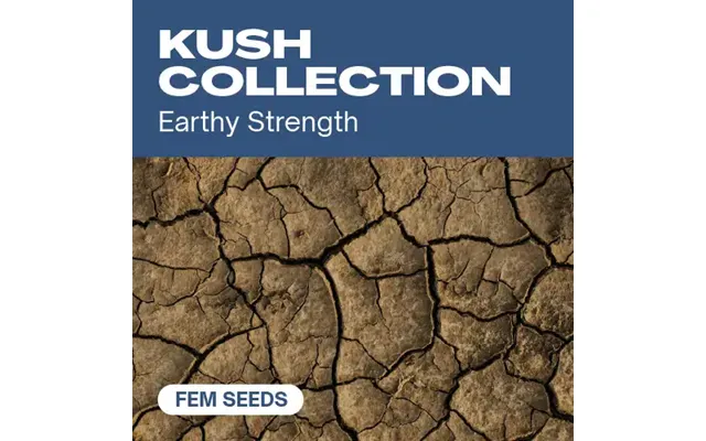 Kush Collection
