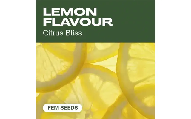 Lemon Flavour