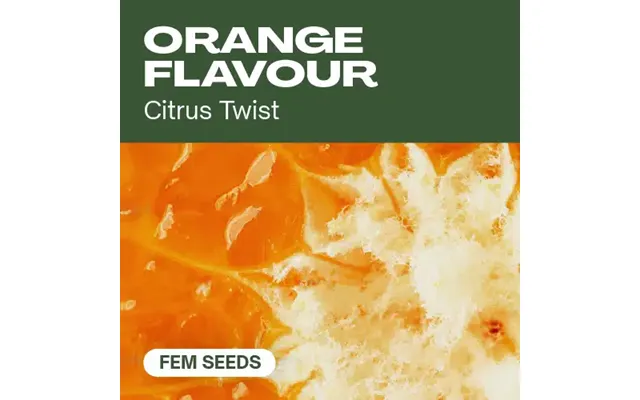 Orange Flavour