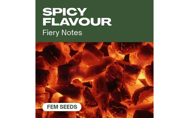 Spicy Flavour