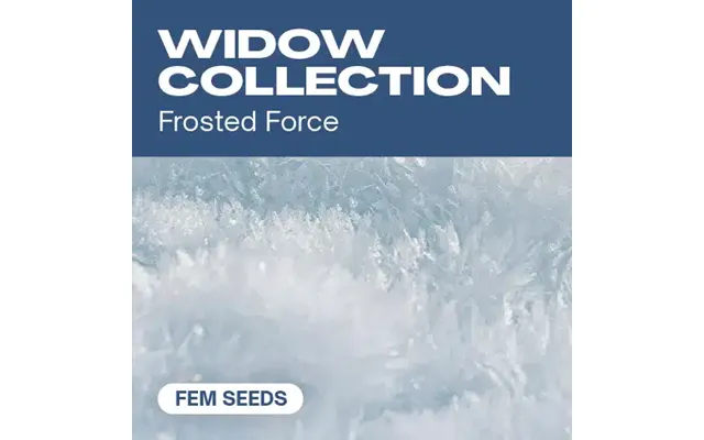 Widow Collection