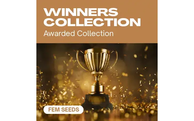 Winners Collection