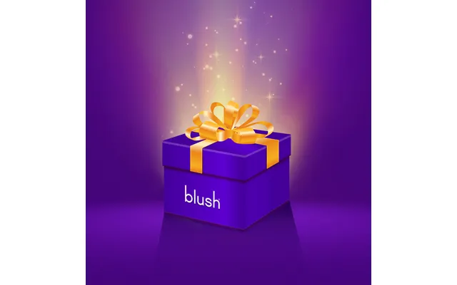 Blush Mystery Box Limited Edition Surprise Bundle Includes 4-6 Toys 250 Value