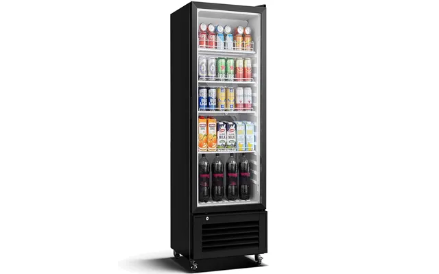 Bodega Cooler Upright Display Refrigerator Commercial Fridge 10