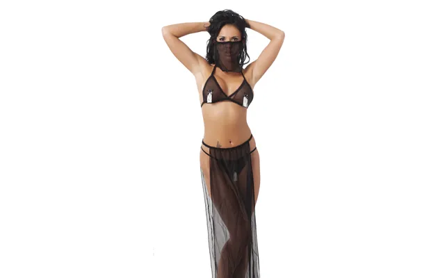 Jasmine - 4 Pc Harem Costume Set