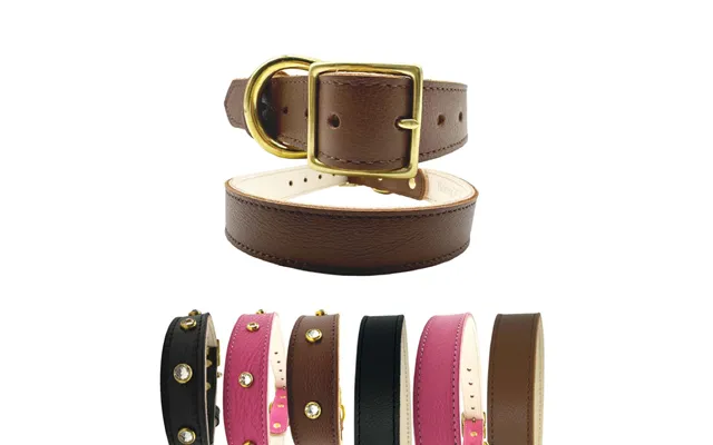 Plain Leather Dog Collar - No Crystal Small Brown