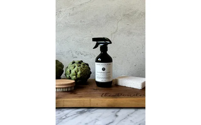 All-purpose Cleaner - Original Fig 17oz
