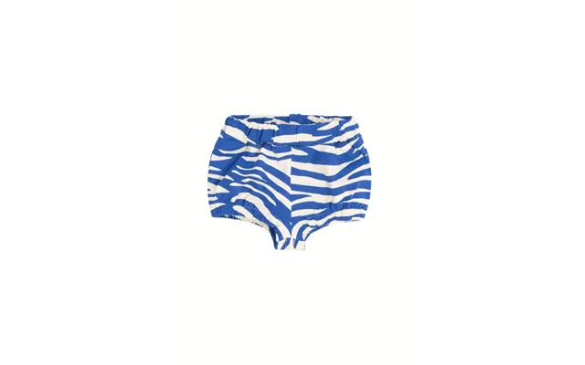 Baby Bloomer - Blue Zebra