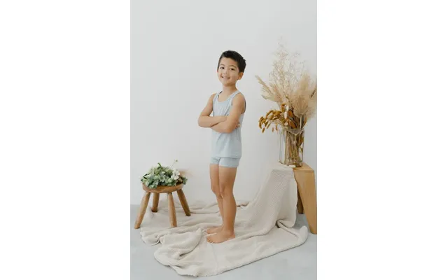 Boxer Briefs Set Of 2 - Blue