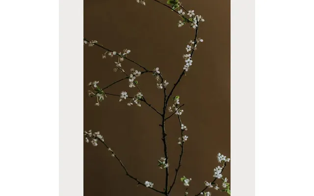 Branches And Blossoms - 5 Size 16 X 24