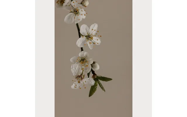 Branches And Blossoms No. 1 - 32 X 48