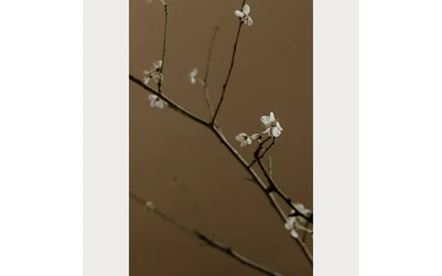 Branches And Blossoms No. 7 - 24 X 36