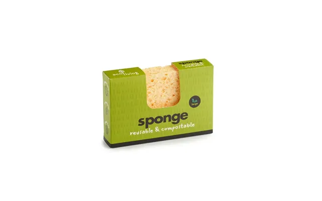 Compostable Uk Sponge - Large Single