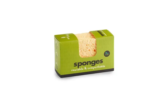 Compostable Uk Sponge Size 2 Pack Large