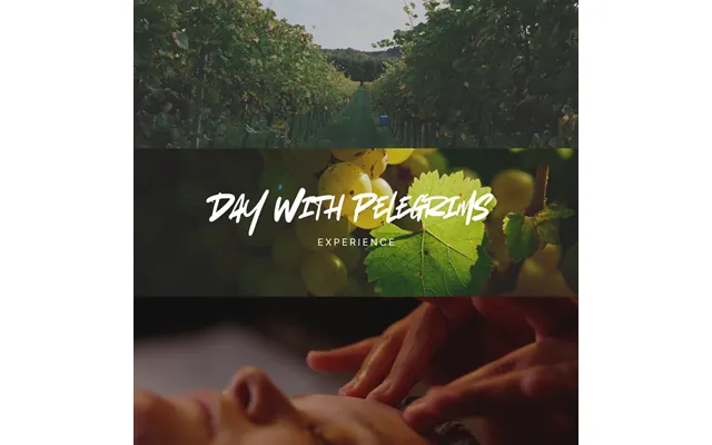 Day With Pelegrims Experience