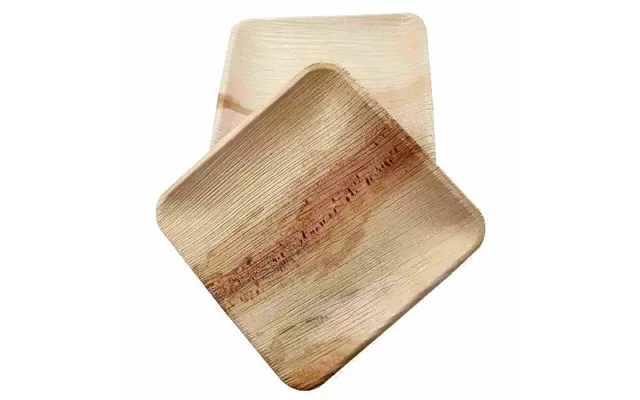 Dtocs Palm Leaf Plates 6 Inch Square Pack 50 Bamboo Plate Like Compostable Disposable Wedding Plates For Serving Fruits 