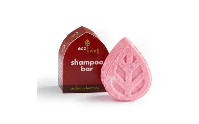 Ecoliving Shampoo Bar - Soap Free