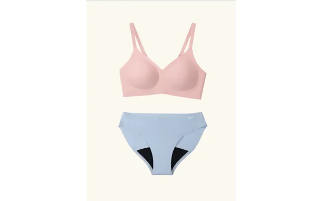 Heather Pink Bra & Panty Bundle Set - 1 Bra And 1 Celeste Blue Daywear Panty L