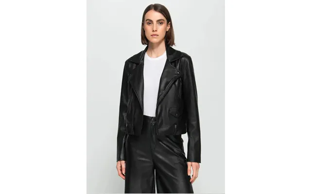 Hudson All Black - L