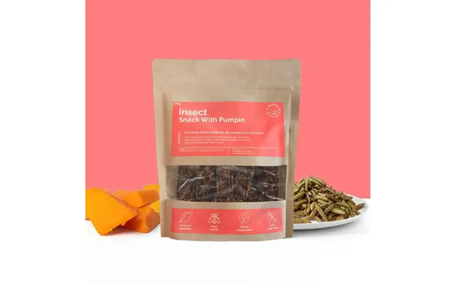 Insect Snack With Pumpkin - 3x100g