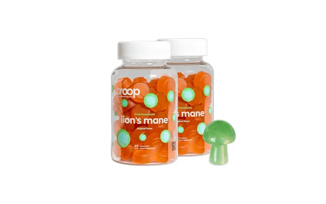Lion's Mane 2 Bottle Bundle - 60 Day Supply