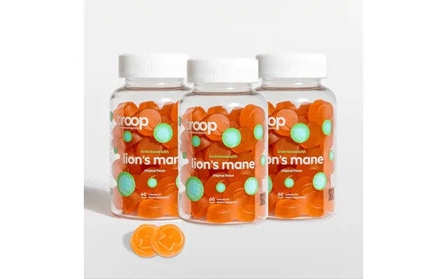 Lions Mane 3 Month Bundle - 1 Package