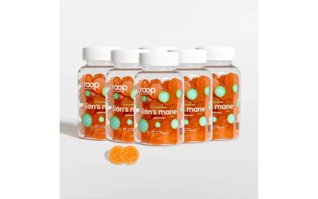 Lions Mane 6 Month Bundle - 1 Package