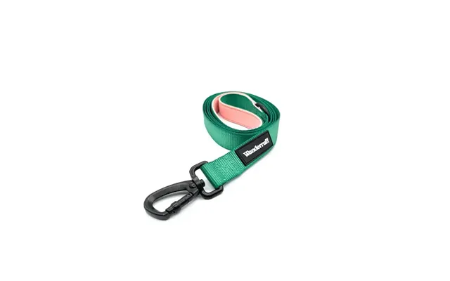 Lola Leash - M L