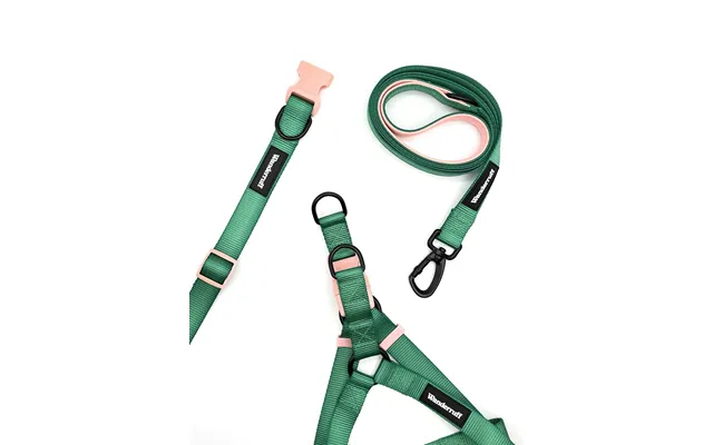 Lola Walk Kit - M S M L 1