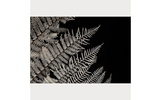 Nordic Simplicity - 1