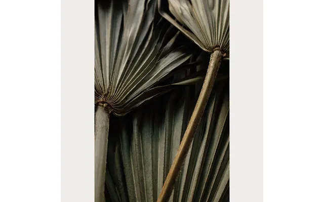 Nordic Simplicity - 4