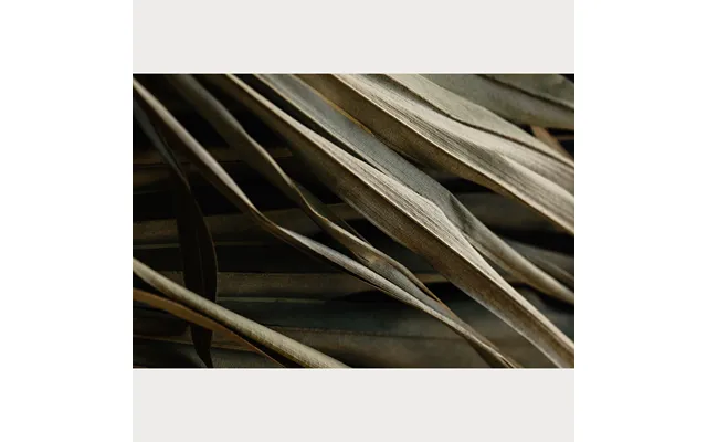 Nordic Simplicity - 5