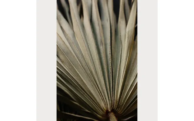 Nordic Simplicity - 6 Size 32 X 48