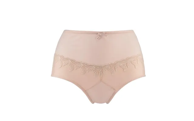 Ornate- Silk & Organic Cotton Full Brief - 8 Pink Champagne