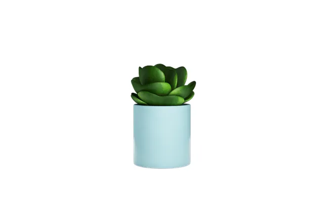 Plant Pot - Clarity