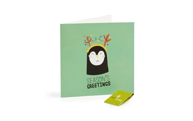Recycled Christmas Cards - Cute Animal Cards Fsc 100%