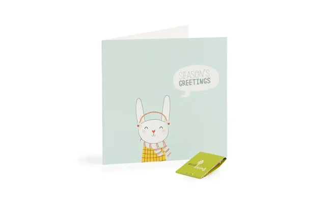 Recycled Christmas Cards - Cute Animal Cards Fsc 100%