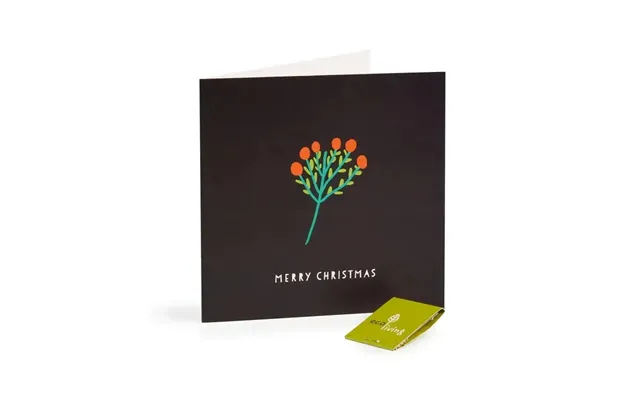 Recycled Christmas Cards - Minimalist Fsc 100%