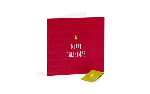 Recycled Christmas Cards - Minimalist Fsc 100%
