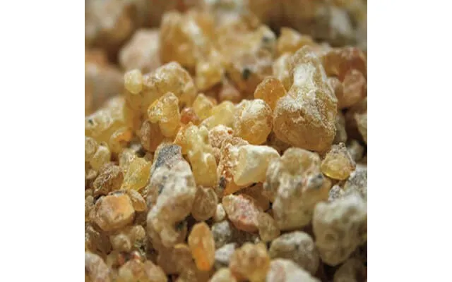 Sacred Frankincense Pure Essential Oil - 17ml & 60ml Sizes Fair Trade Ethically Sourced Size 17ml