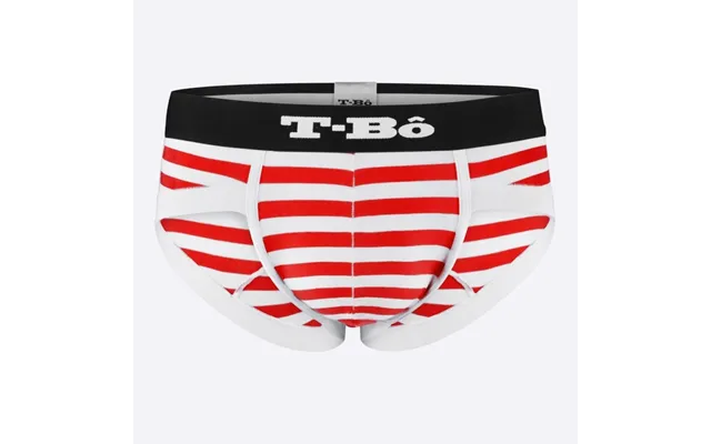The Ballsy Molten Lava Stripes Brief - Molten Lava Stripes 40-44